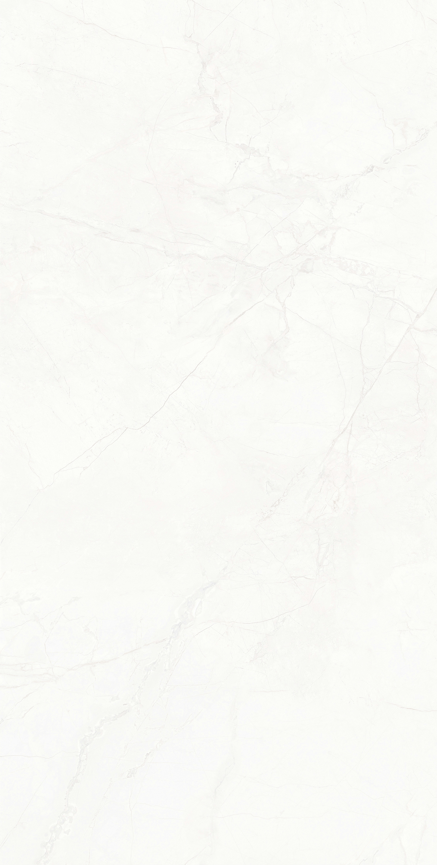 利来w66(中国)最给利的老牌