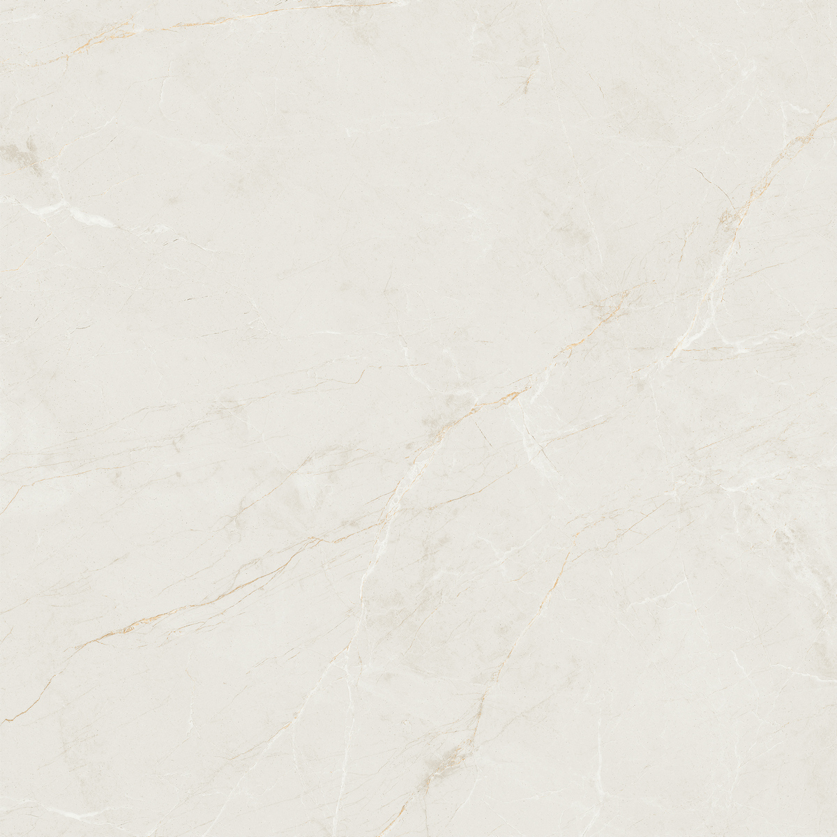 素罗纱 QZ80E607E 产品图