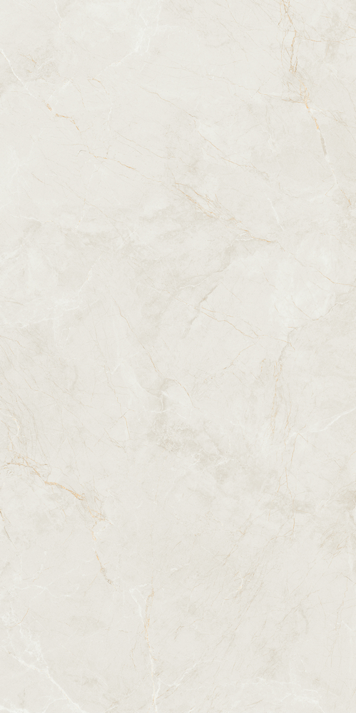 利来w66(中国)最给利的老牌