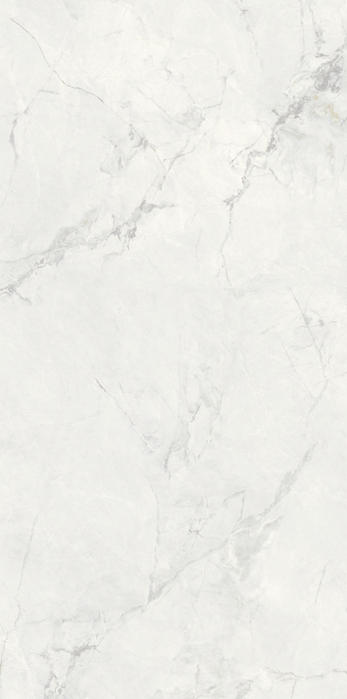 寒江雪 Q612FD210C产品图