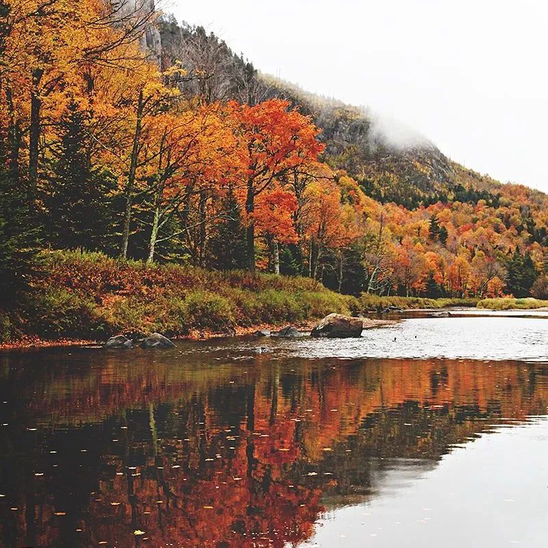 质感原生石系列 | 一抹秋色，唤醒秋日家居的限定浪漫